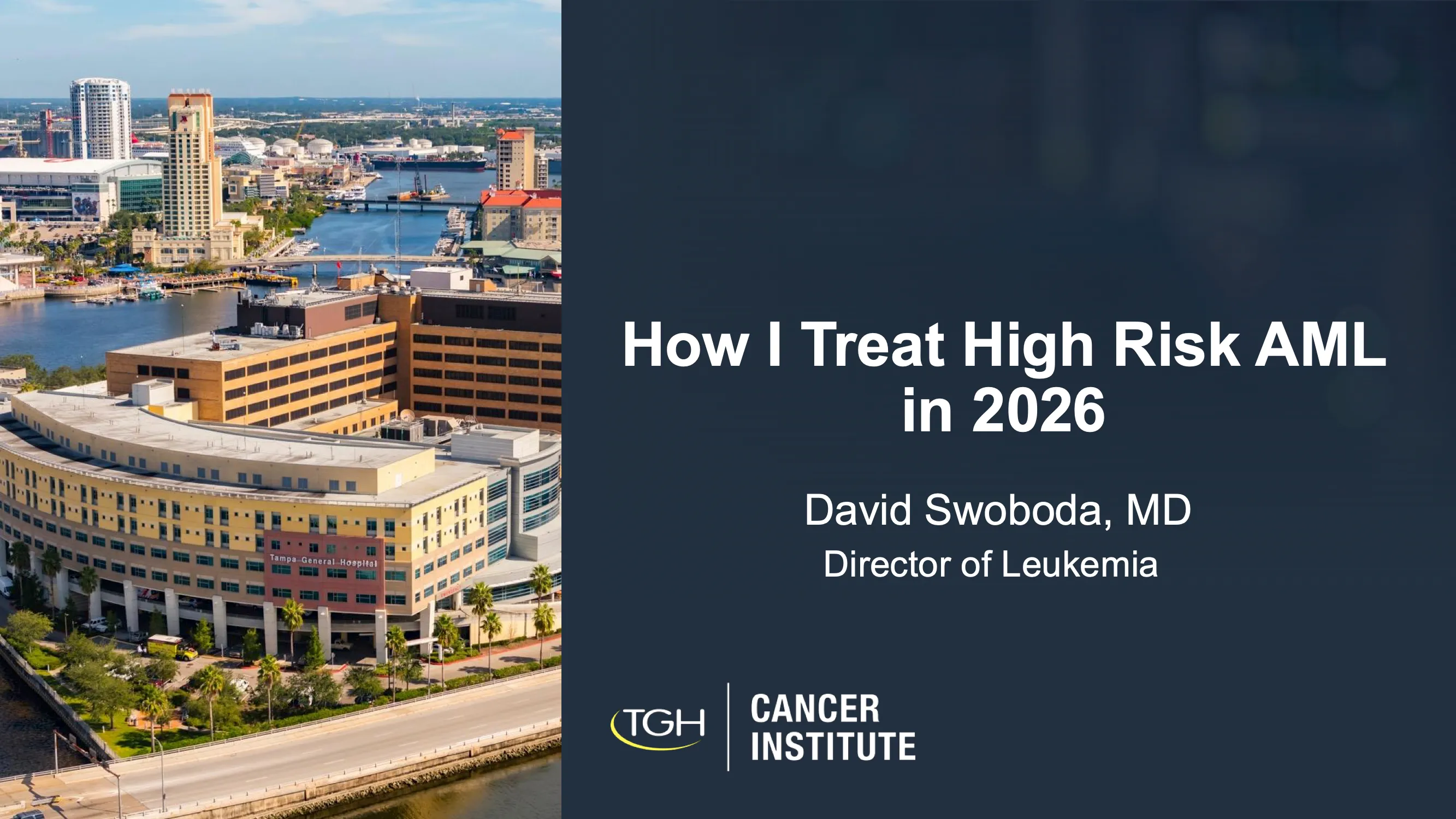 Courses | 2026 MCM | Management of High-Risk AML | MyMedFlix